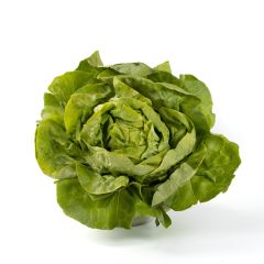 Le selezioni P&V Lattuga trocadero prezzemolo e vitale