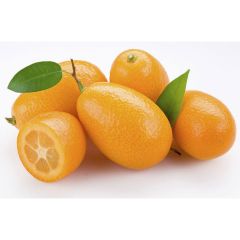 commodity-kumquat