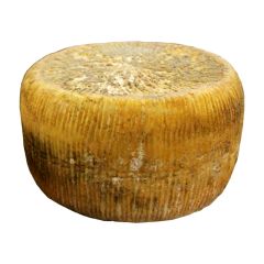 Le selezioni P&V Pecorino San Michele